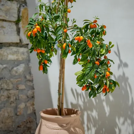 Aristides Villa Kassiopi